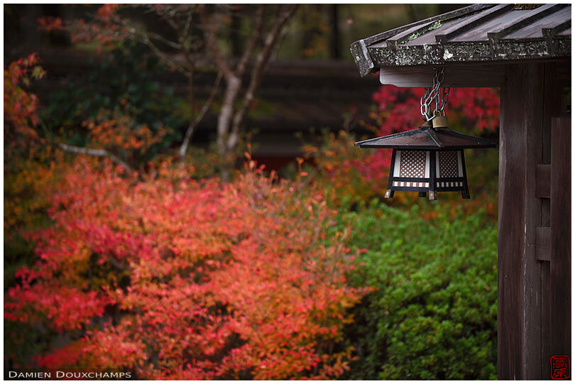 Small metallic lantern in a dark corner of Kuwayama shrine, Kyoto, Japan