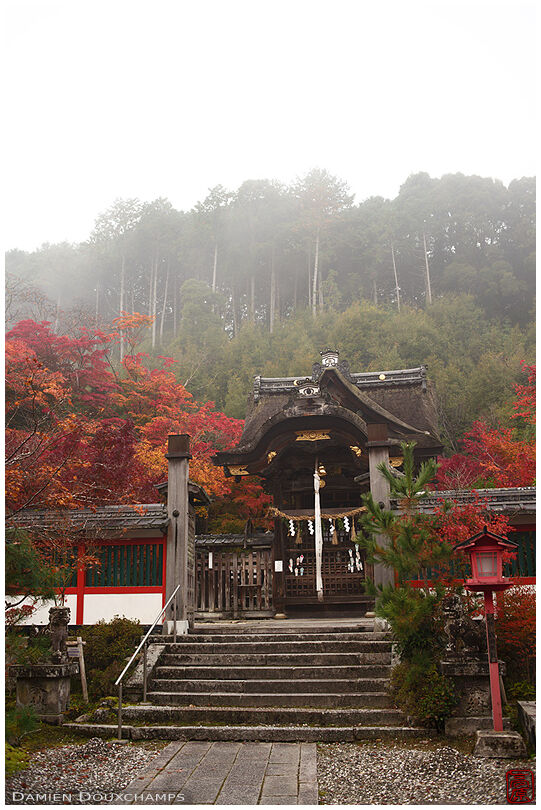 Foggy early autumn morning in Kuwayama-jinja shrine, Kyoto, Japan