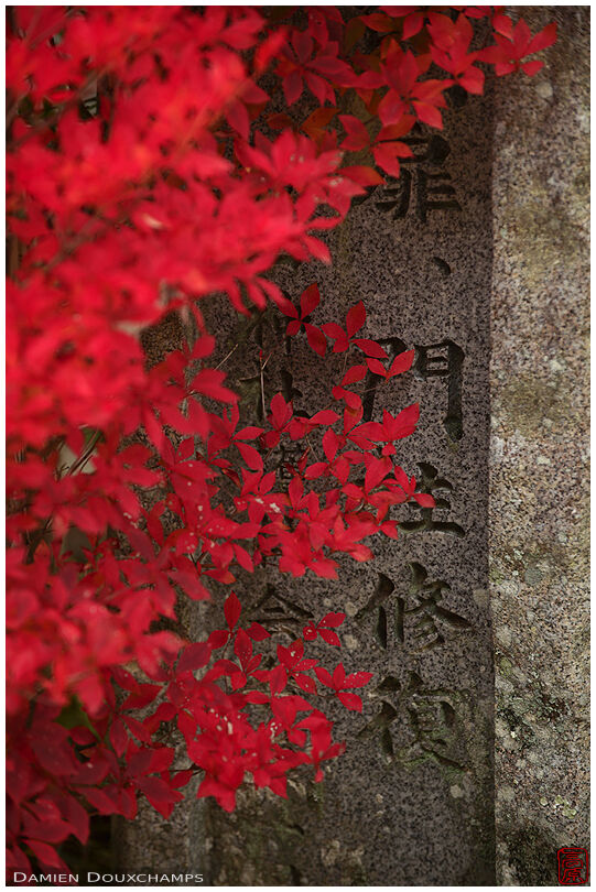 Dodan tsutsuji red leaves and stone pillar, Kuwayama-jinja, Kyoto, Japan