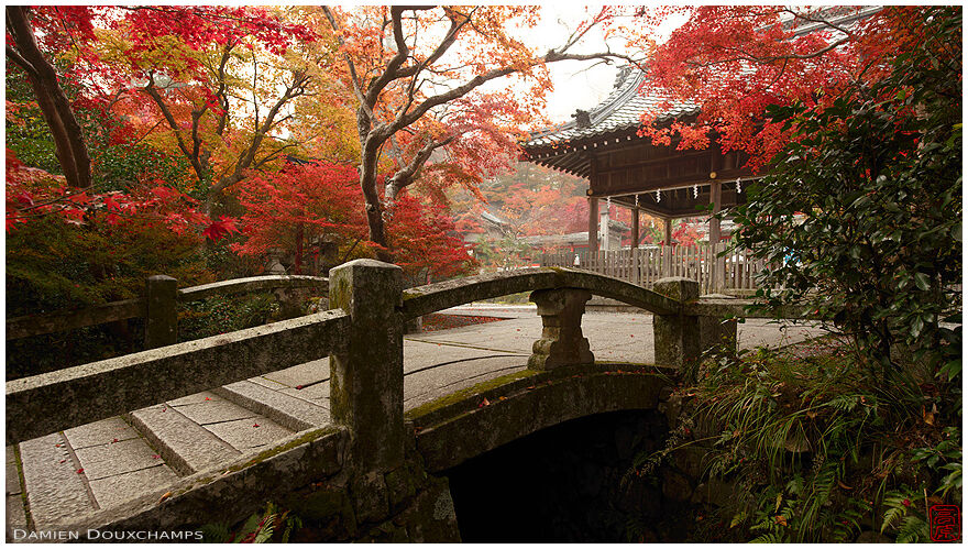 First autumn colors over the bridge of Kuwayama-jinja shrine in Kameoka, Kyoto, Japan