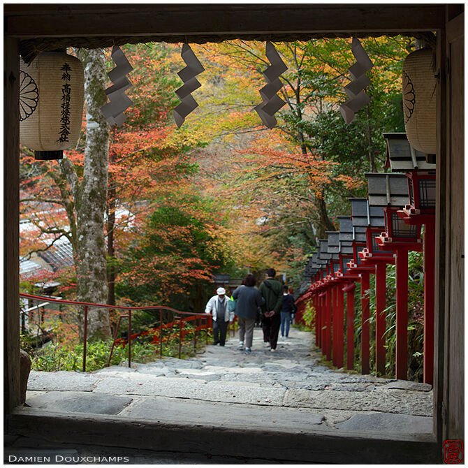 Autumn colours on the stairs that lead to the Kifune shrine, Kyoto, Japan