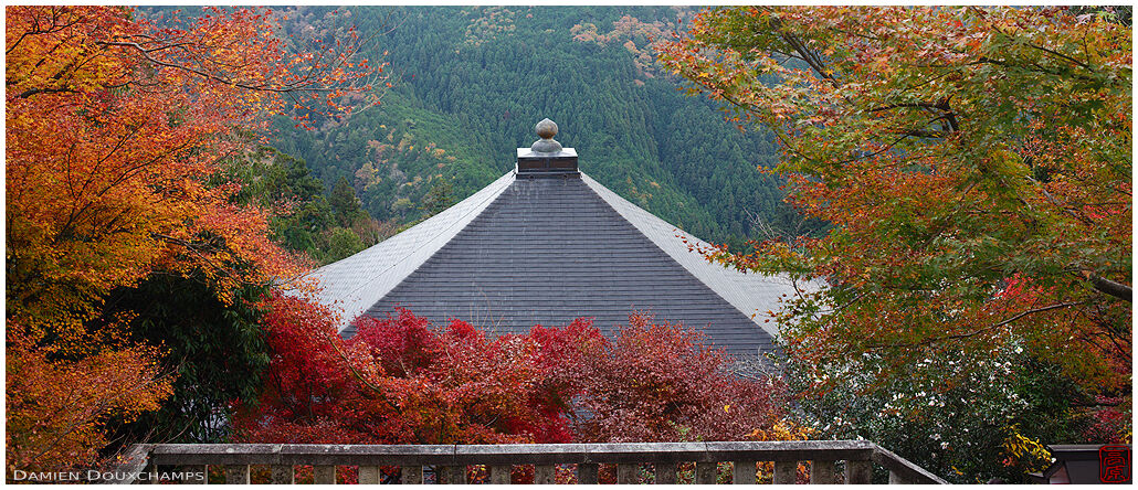Autumn colours surrounding the roof of a hall in the Kurama-dera temple complex in the mountains of Kyoto, Japan