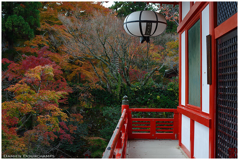 Large bulbous lantern amidst autumn colours, Kurama-dera temple, Kyoto, Japan