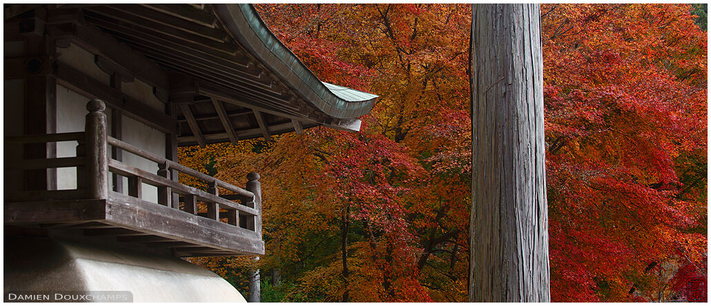 Autumn colours surrounding the lower entrance gate of Amida-ji temple in the Ohara valley of Kyoto, Japan