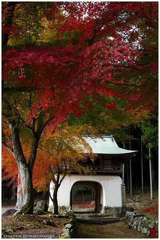 The entrance gate of Amida-ji temple in autumn, Kyoto, Japan
