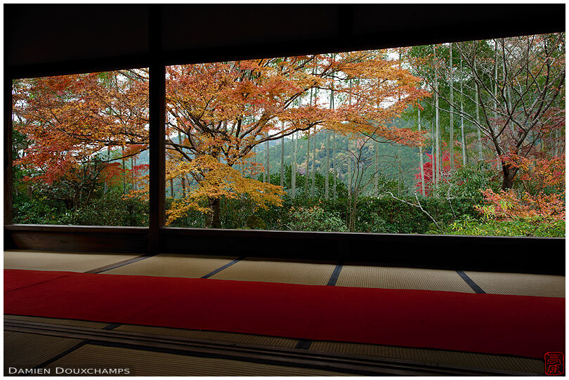 Gentle autumn colours in Hosen-in temple, Kyoto, Japan