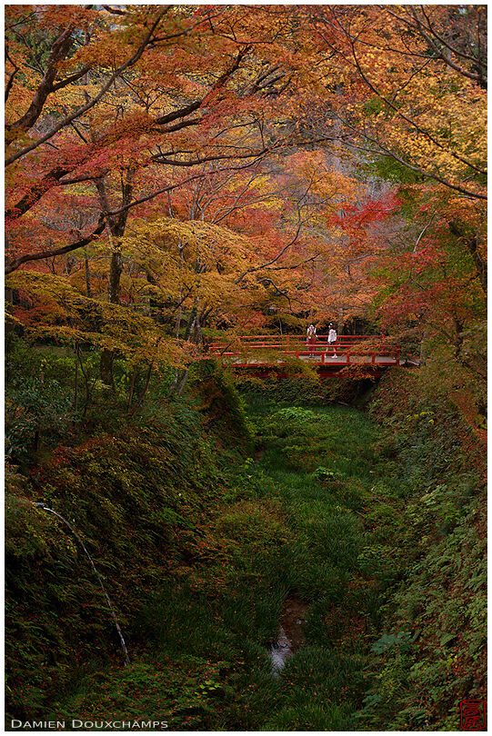 Two visitors of Sanzen-in temple on small bridge surrounded by autumn colours, Kyoto, Japan