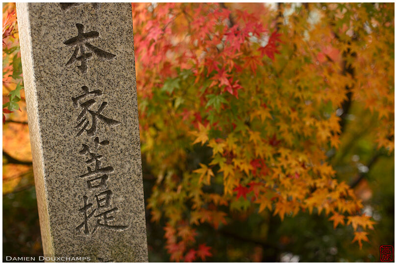 Stone marker showing the way to a family grace in autumn, Yoshimine-dera temple, Kyoto, Japan