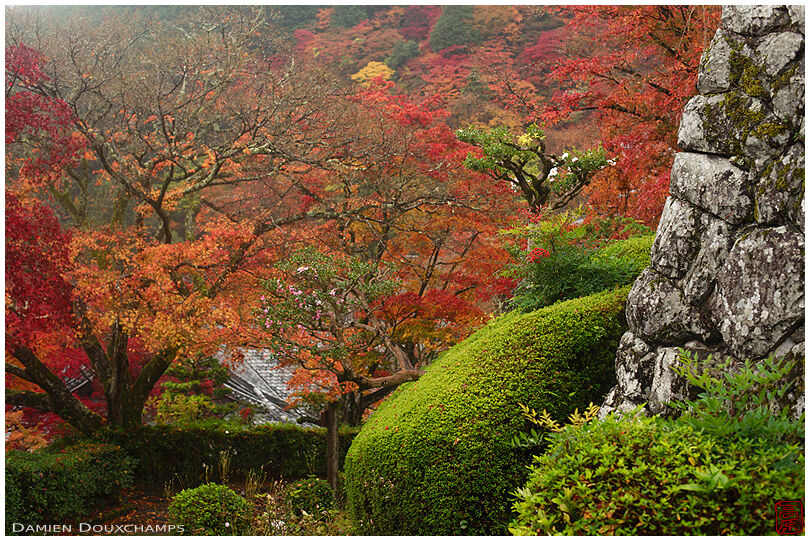 Stone wall overlooking endless autumn colours in Yoshimine-dera temple, Kyoto, Japan