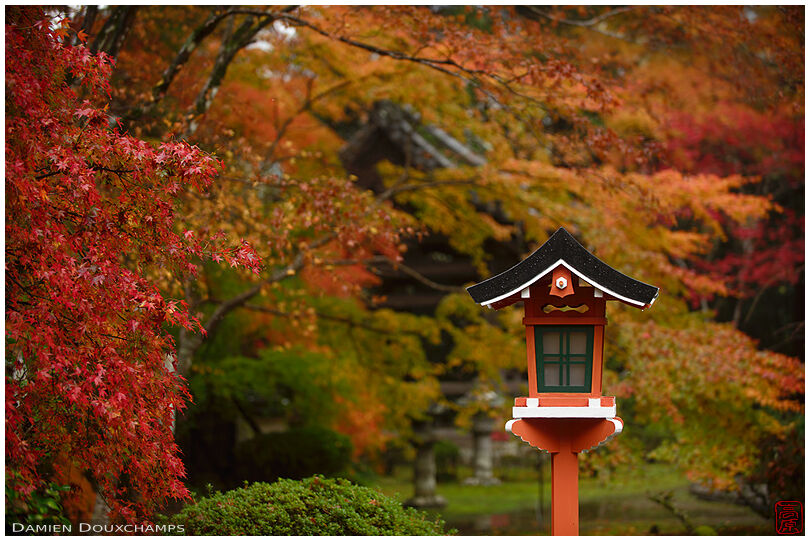 Lantern surrounded by autumn foliage in Jurin-ji temple, Kyoto, Japan