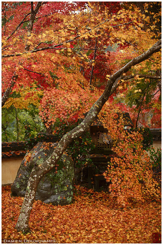 Jūrin-ji (十輪寺)