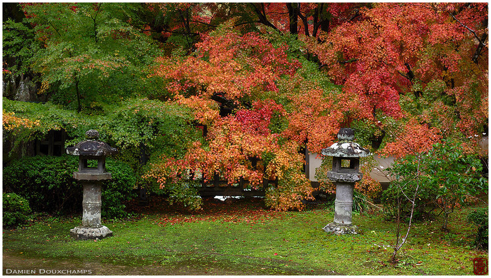 Two stone lanterns and autumn foliage, Jurin-ji temple, Kyoto, Japan