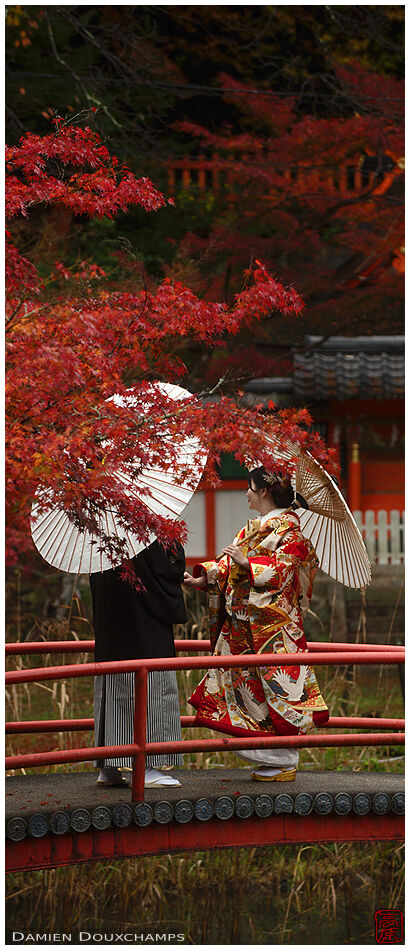Couple in kimono posing for wedding pictures on a bridge in autumn, Oharano shrine, Kyoto, Japan