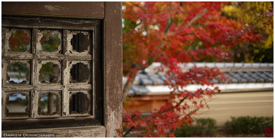Main gate door detail and autumn colors of a subtemple of Kennin-ji, Kyoto, Japan