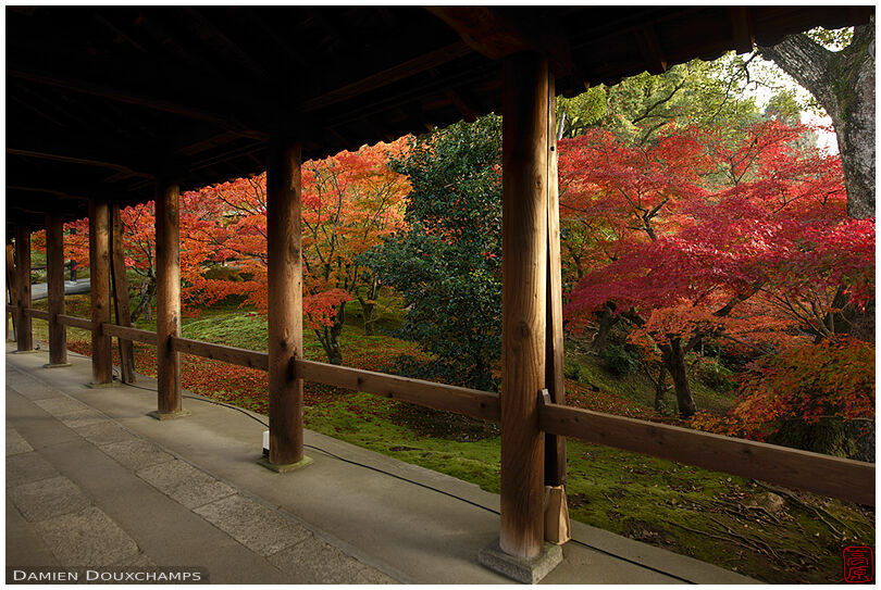 Covered path bordered by autumn foliage in Tofuku-ji temple, Kyoto, Japan