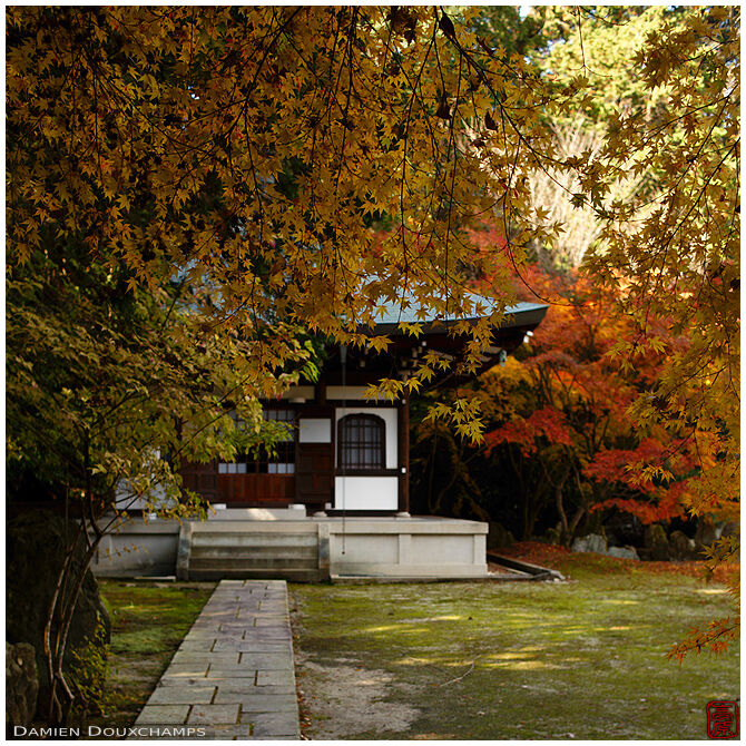 Small hall hiding between autumn leaves in Zenno-ji temple, Kyoto, Japan