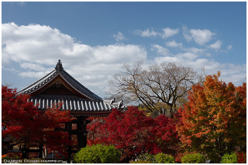 Autumn foliage on the grounds of Chishakuin temple, Kyoto, Japan