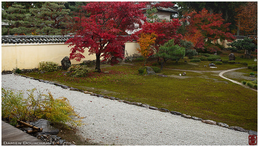 Rock and moss garden with red maple trees in autumn, Rokuo-in temple, Kyoto, Japan
