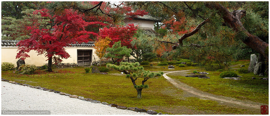 The rock and moss garden of Rokuo-in temple in autumn, Kyoto, Japan