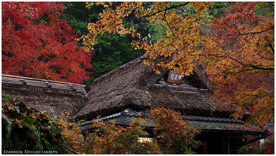 Autumn colours surrounding the thatched tea house of Hogon-in temple, Kyoto, Japan