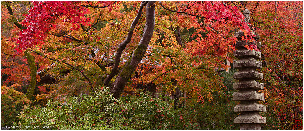 Stone pagoda among maple trees in autumn, Hōgon-in temple, Kyoto, Japan