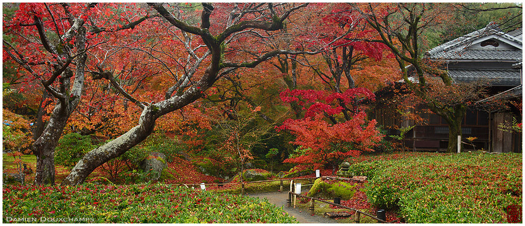 Autumn in Hogon-in temple gardens, Kyoto, Japan