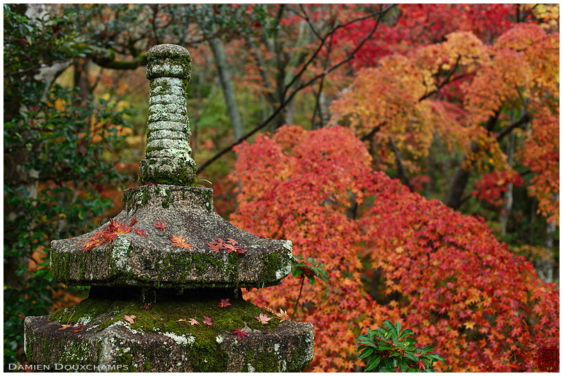 Stone pagoda and autumn colours, Jojakko-ji temple, Kyoto, Japan
