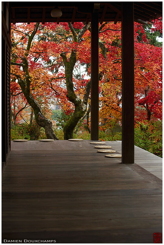 Zabuton waiting for tea drinkers during autumn in Jojakko-ji temple, Kyoto, Japan