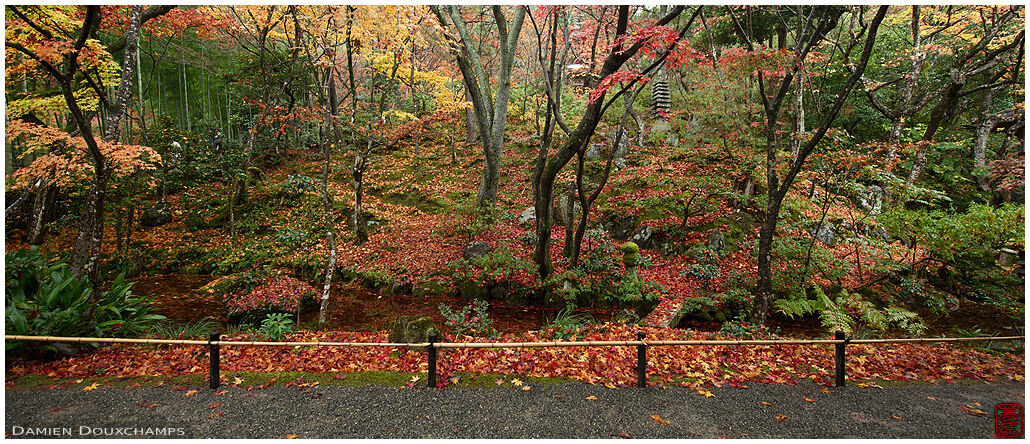 Fallen autumn leaves in the garden of Jojakko-ji temple, Arashiyama, Kyoto, Japan