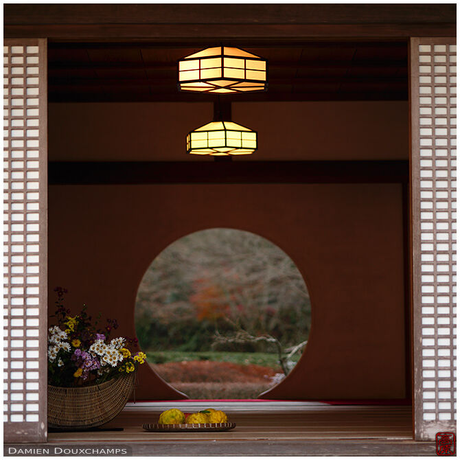 Seasonal flower arrangements with large yuzu fruits in Meigetsu-in temple, Kamakura, Japan