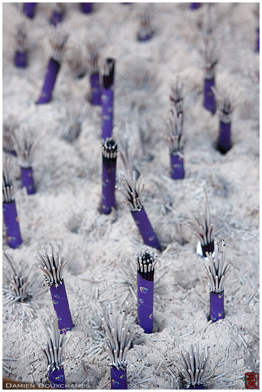 Bundles of purple incense burning among white ash in Kamakura, Japan