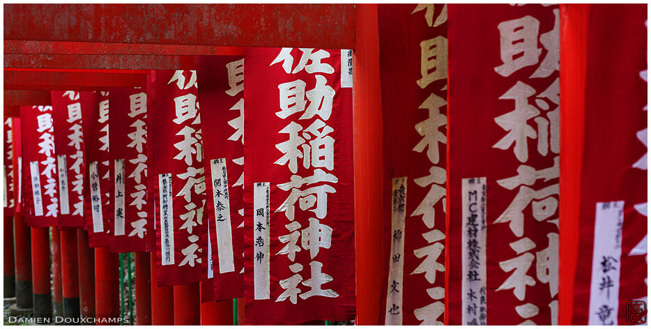 Red flags and red torii gates in Sasuke Inari shrine, Kamakura, Japan