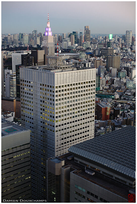 Glass covered ceiling of the NS building with pink Docomo tower in the distance, Tokyo, Japan
