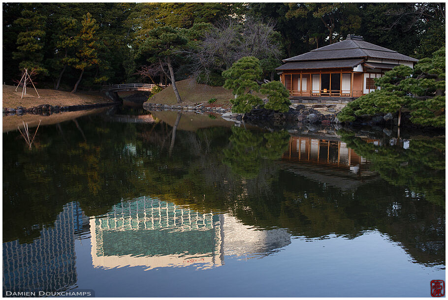 Traditional garden with modern buildings reflecting on its pond, Hamarikyu, Tokyo, Japan