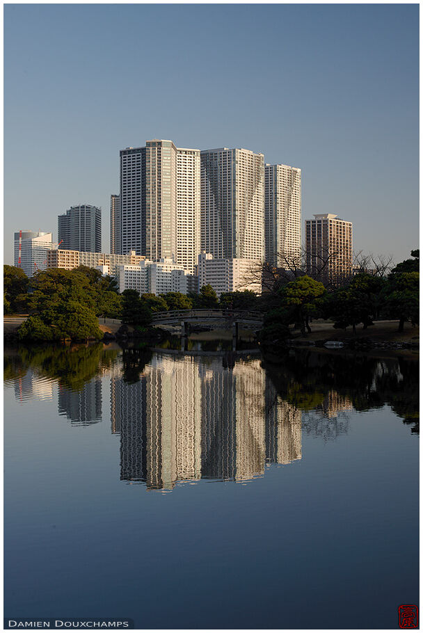 Large apartment towers reflecting on the pond of the Hamarikyu gardens, Tokyo, Japan