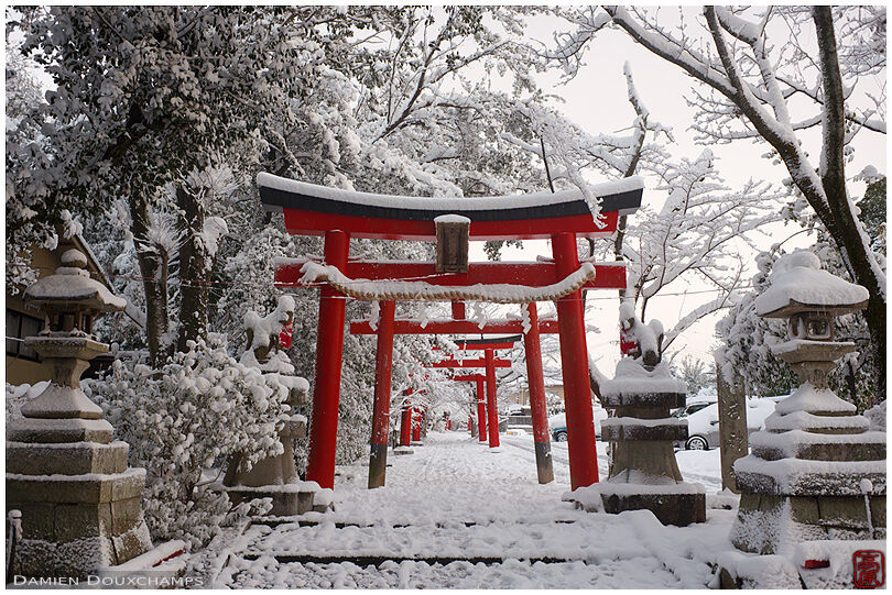 Red torii gates and snow covering the path to Takenaka Inari shrine, Kyoto, Japan
