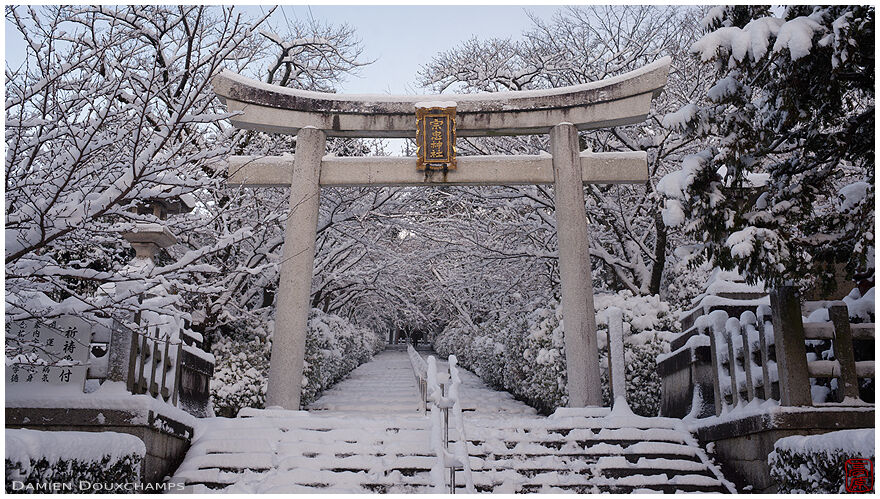 Snow covered entrance torii to Takenaka Inari shrine, Kyoto, Japan