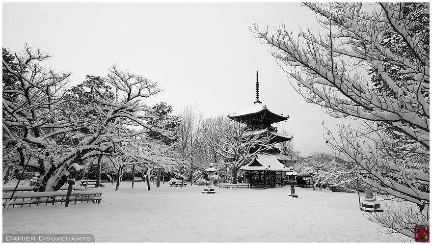 Shinyodo temple pagoda on an early and snowy winter morning, Kyoto, Japan