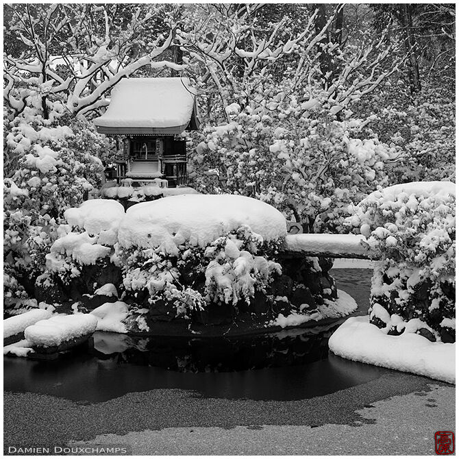 Miniature shrine in snow-covered vegetation, Shinyo-do temple, Kyoto, Japan