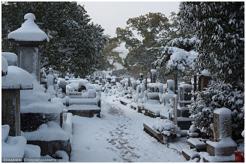 After heavy snowfall in the cemetery of Saiun-in temple, Kyoto, Japan