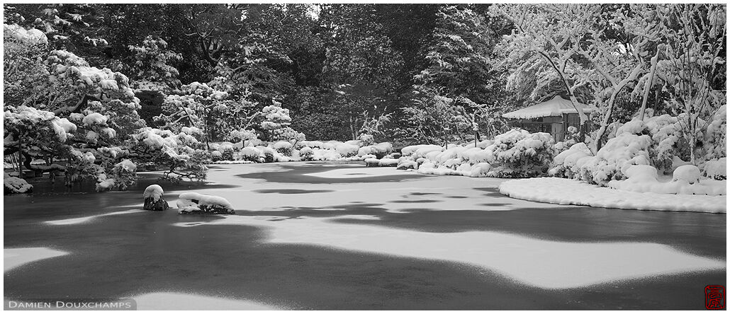 Frozen pond in Heian-jingu shrine winter garden, Kyoto, Japan