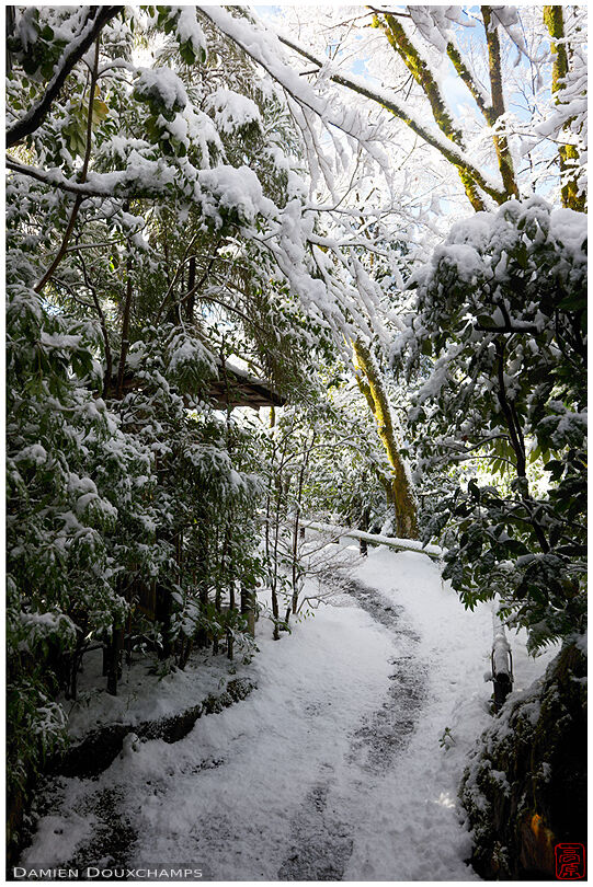 Snow covered path in forest in Koetsu-ji temple, Kyoto, Japan