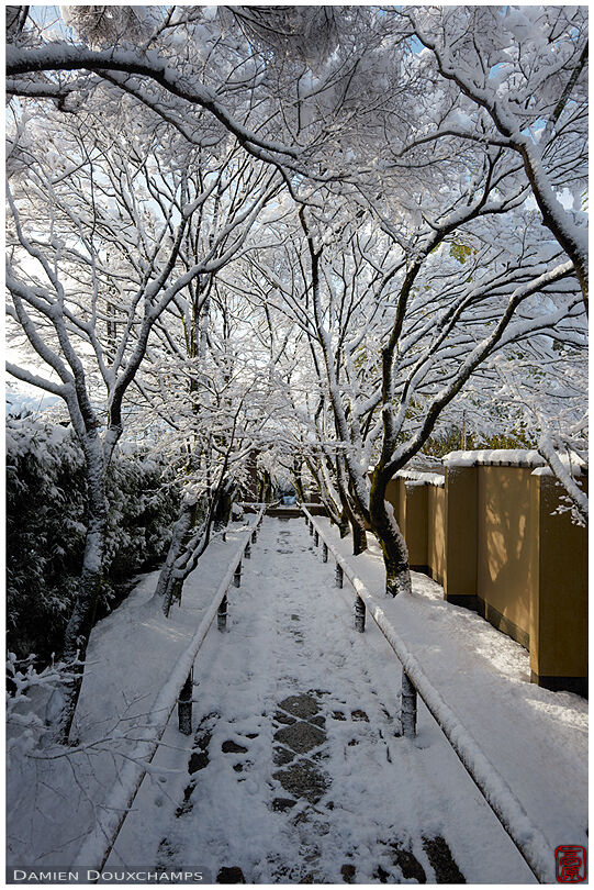 The snow covered path leading to Koetsu-ji temple, Kyoto, Japan