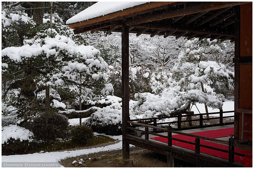 Manshuin temple garden under a thick layer of snow, Kyoto, Japan