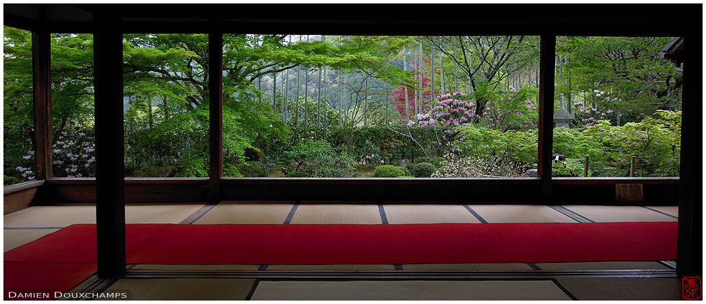 Early spring garden from the main hall of Hosen-in temple, Ohara, Kyoto, Japan