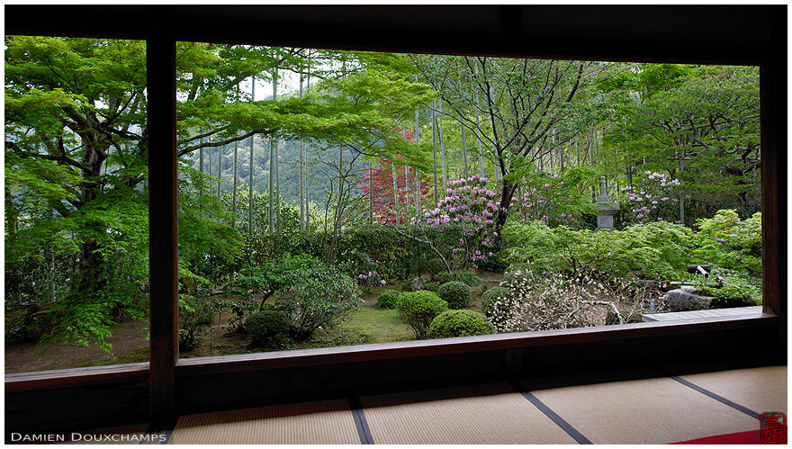 Window on early spring flowers and new green leaves in Hosen-in temple, Kyoto, Japan