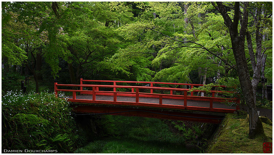 Red bridge in green forest, Sanzen-in temple, Kyoto, Japan