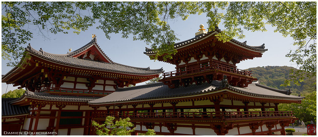 The main halls of Byodo-in temple on a sunny morning, Uji, Kyoto, Japan