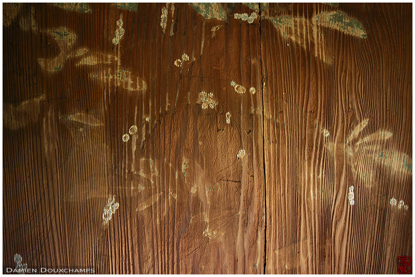 Fading paintings on a wooden door in Chogaku-ji temple, Nara, Japan