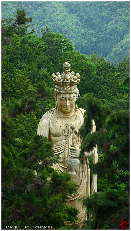 Large golden Buddhist statue lost in pine forest, Shippo-ji temple, Osaka, Japan